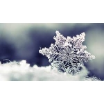 obrázek k článku: Co nás čeká v měsíci lednu